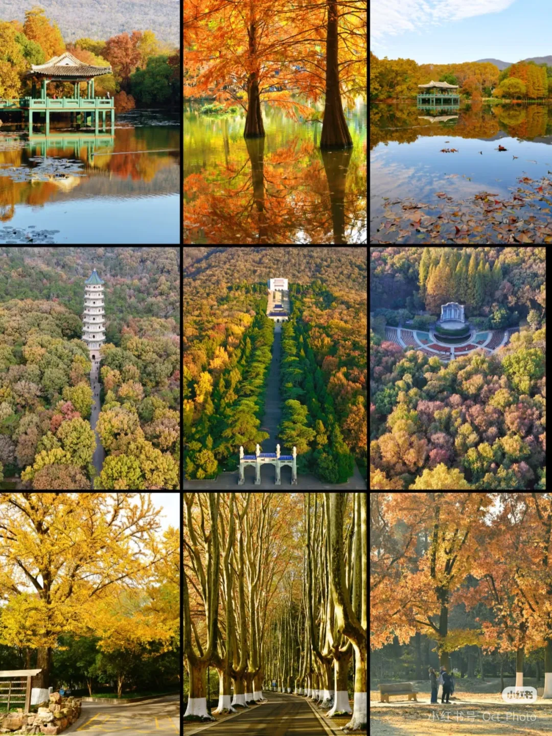 c8347f243e731843bfaba5e4fde18bc5-sz_1788567