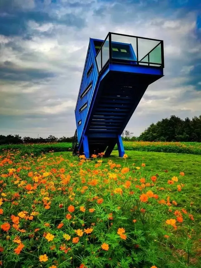 c84e205dedeb3c9ec944cda06b746a81-sz_244375