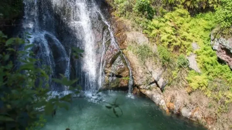 c87ea693064e9d8ceec613ca11fde442-sz_134869