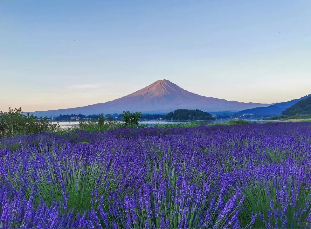 c8a0e1064eea07357dbfb2c1d59c636e-sz_303193 c8a0e1064eea07357dbfb2c1d59c636e-sz_303193