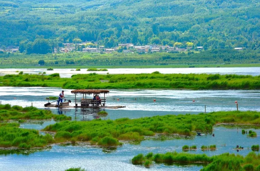 c8c13178c3b83b8da2c5e2964d13c300-sz_1567120