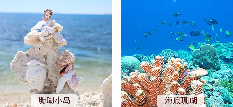 c8f662e8efc4f0d515a8f8a2a17c1d34-sz_572198-1 c8f662e8efc4f0d515a8f8a2a17c1d34-sz_572198-1