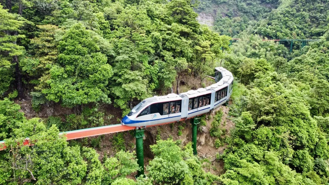 c911c0663a17e2aa06cdd8918de91699-sz_1650039