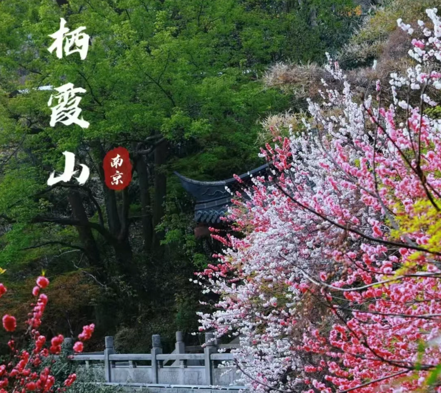 c9208b0059a3d8d62c0ccbc95f367929