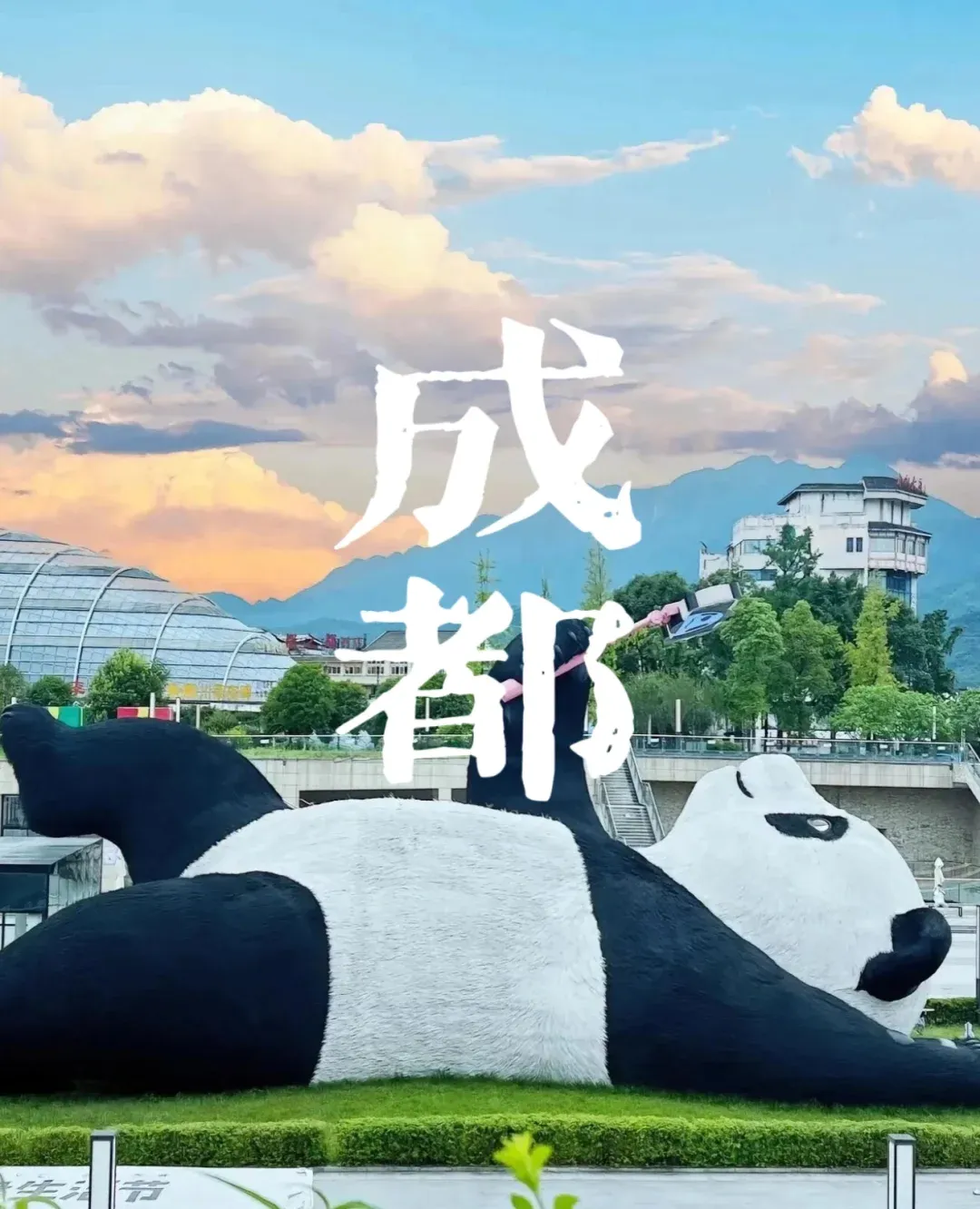 c95139e7581cb25ea6927b3e69497977-sz_1892808