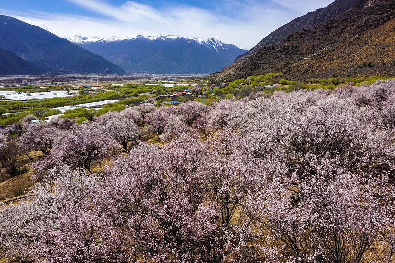 c9e980bcdb3960d0374c3cedc7236f21-sz_330425 c9e980bcdb3960d0374c3cedc7236f21-sz_330425