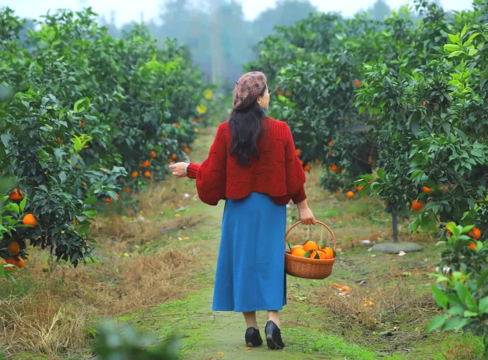 c9f5df28d3c92c4d657fa5dca4ee2990-sz_485897