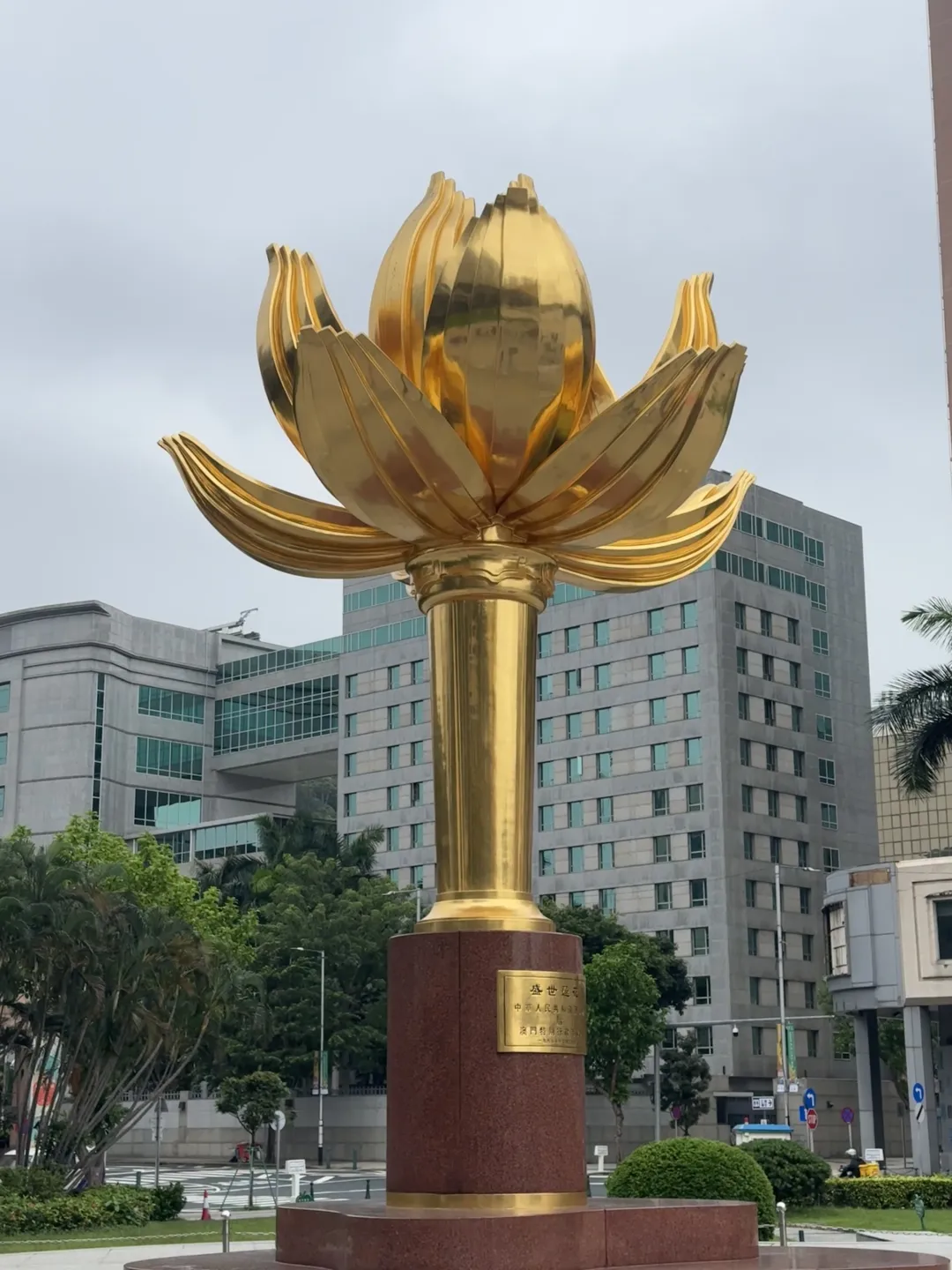 ca2962324f51cc685962034823821132-sz_3063464