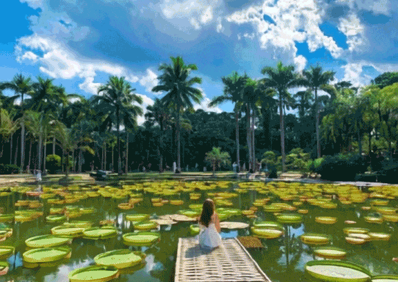 ca3c81beccda8280f957aeddc9bc17c9-sz_4930602