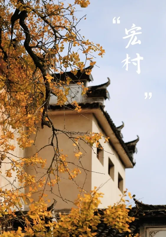 ca5eaffc60bd563a598b0b95e079509b-sz_795206 ca5eaffc60bd563a598b0b95e079509b-sz_795206