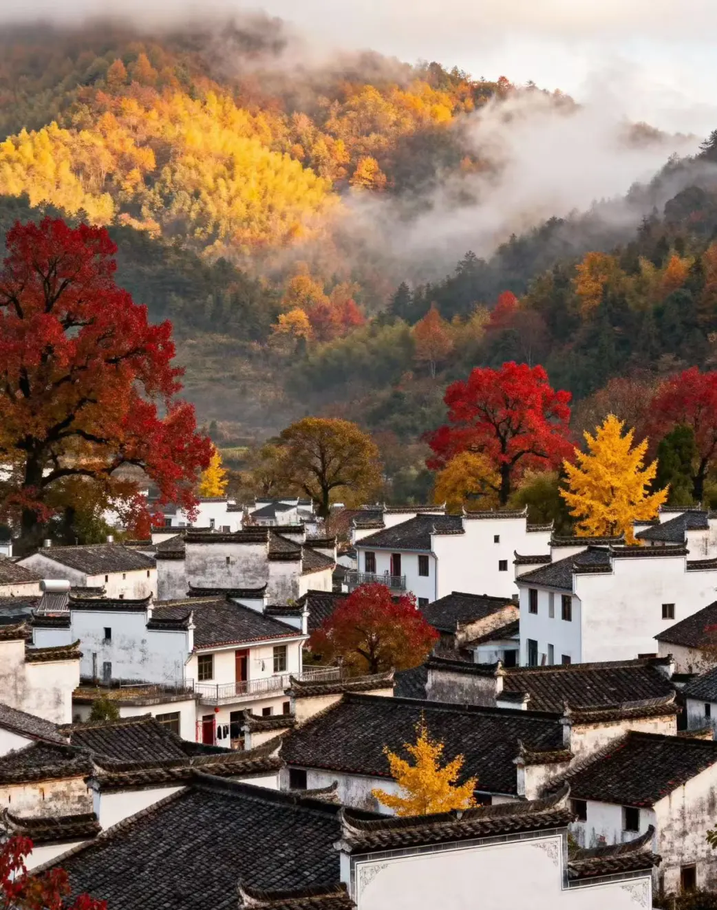 caafb6ebee97efefe209e42105d5dd74-sz_373220