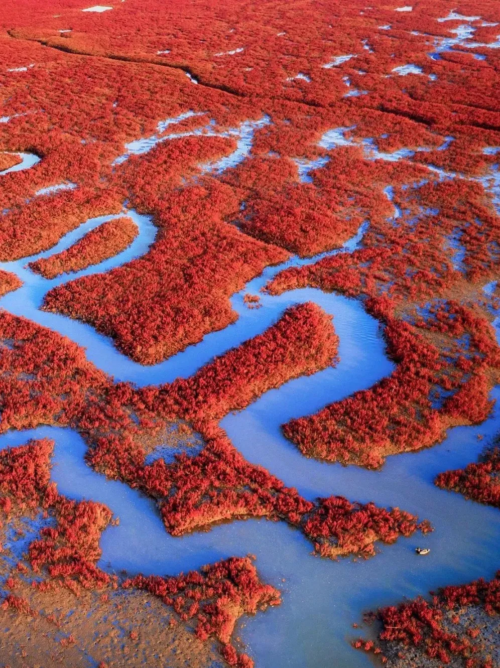 cace99d9c5e77d338e87ea0e19c4c518-sz_697719