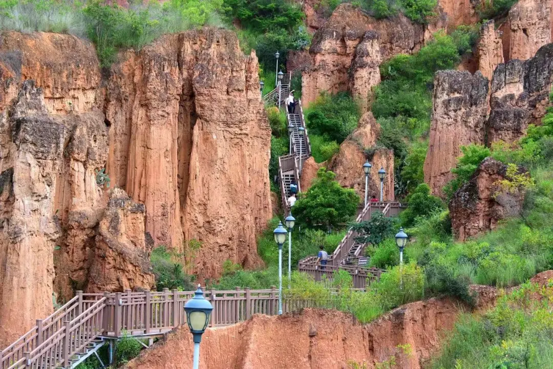 cadb2db7dcc789b68e1b9bcbb058a315-sz_347645