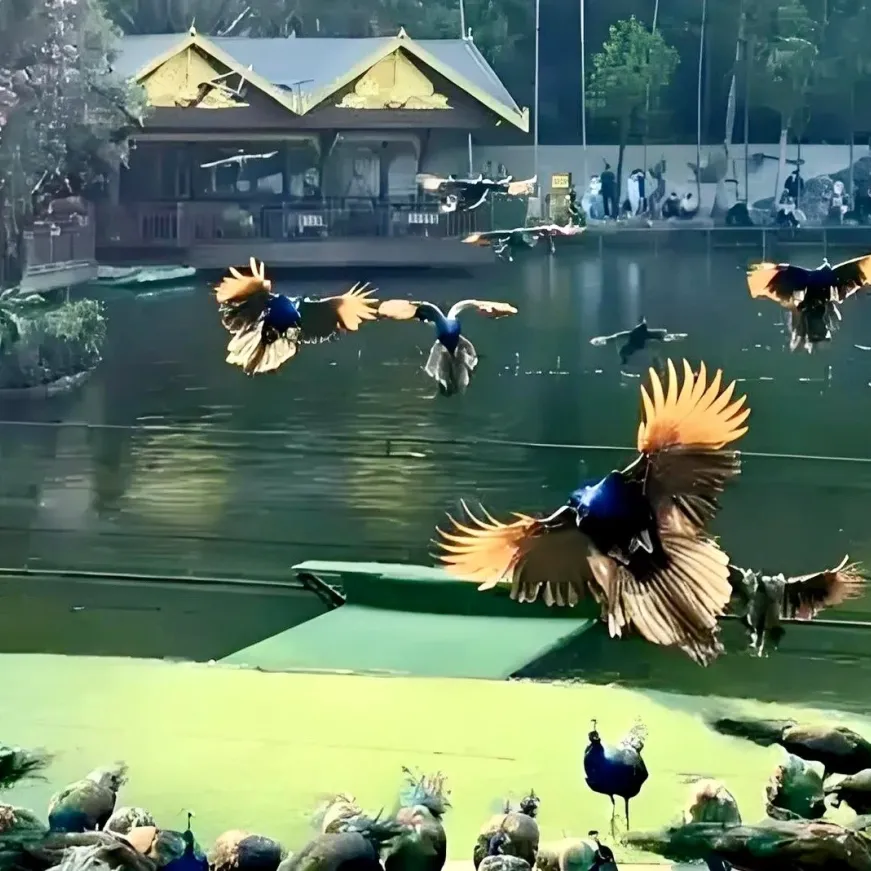 cb10ce25adcd576abf8d317b59e5189b-sz_333028 cb10ce25adcd576abf8d317b59e5189b-sz_333028