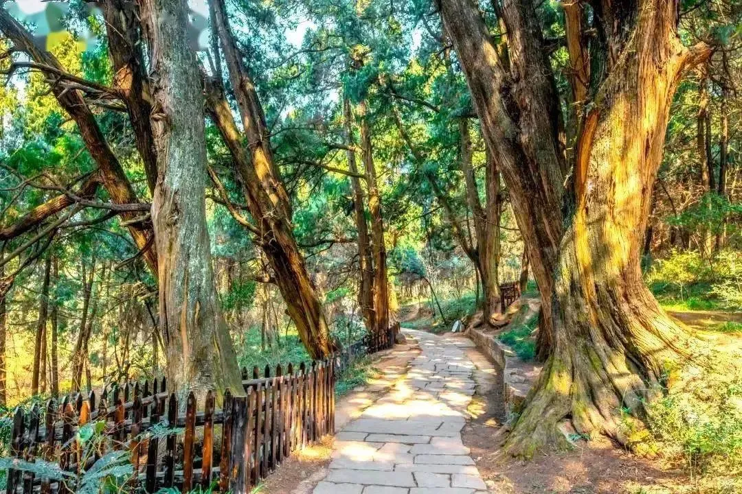 cb1ff7ed4e09f17924e987611de92607-sz_389605