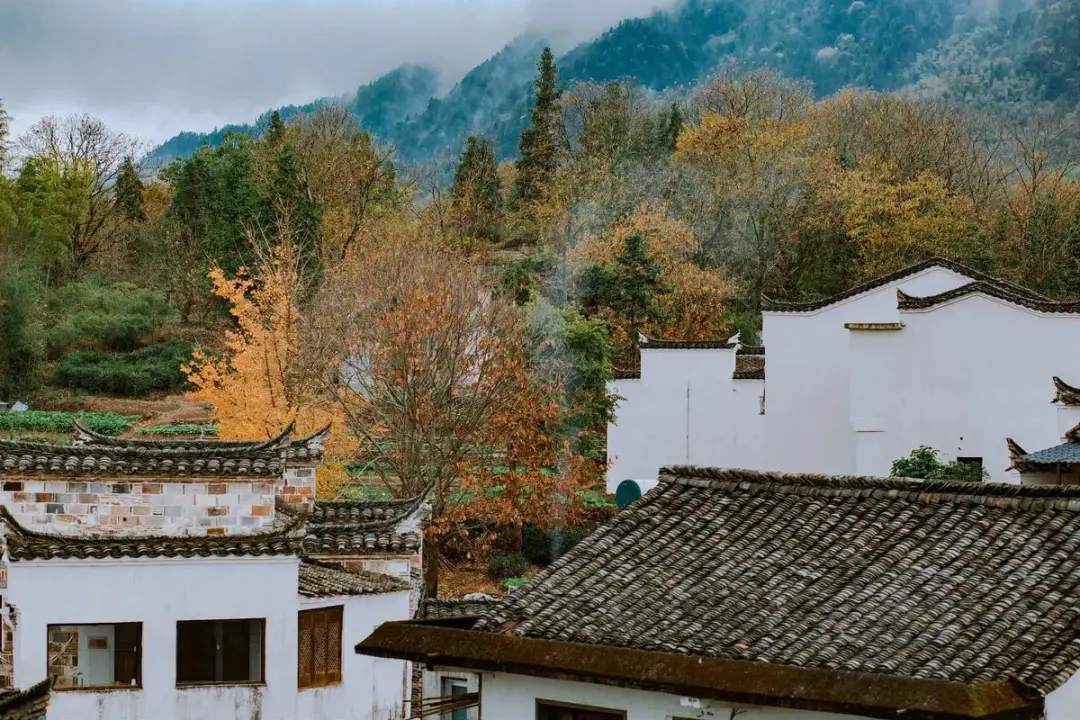 cb2dc709e27d66342fcdef6bf950b59f-sz_239784 cb2dc709e27d66342fcdef6bf950b59f-sz_239784