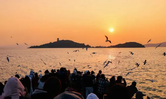 cb2e933b6a661880cba85c94aa9456af-sz_257359-1 cb2e933b6a661880cba85c94aa9456af-sz_257359-1