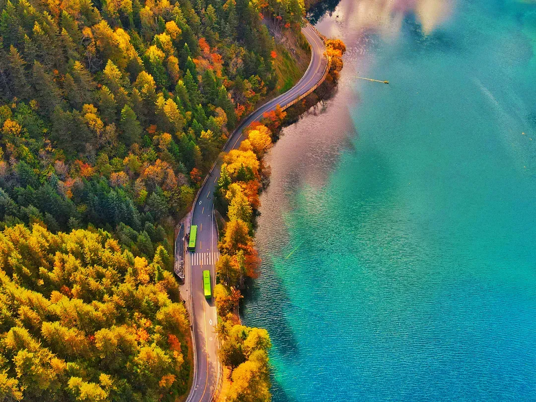 cb58af3382c6addccba0406b66ef4f61-sz_2569923