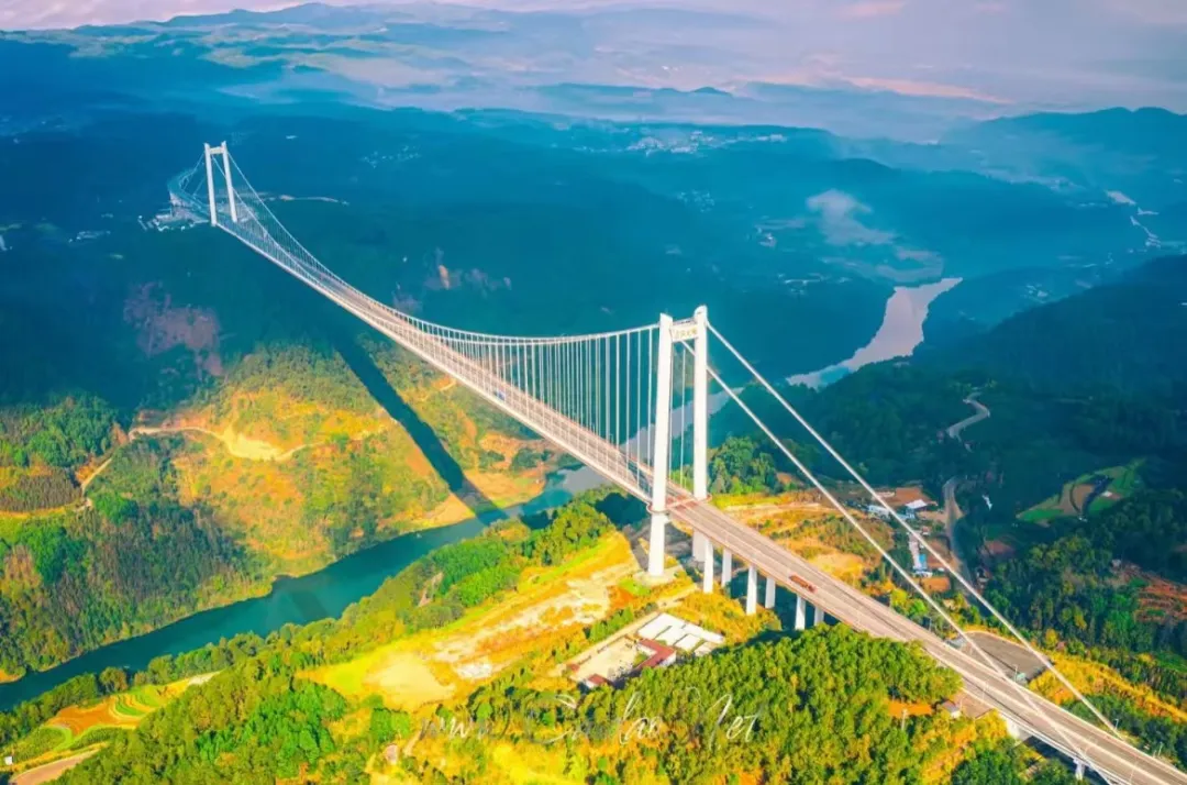 cb85a040dc6066135ce12b32806ee72b-sz_248377