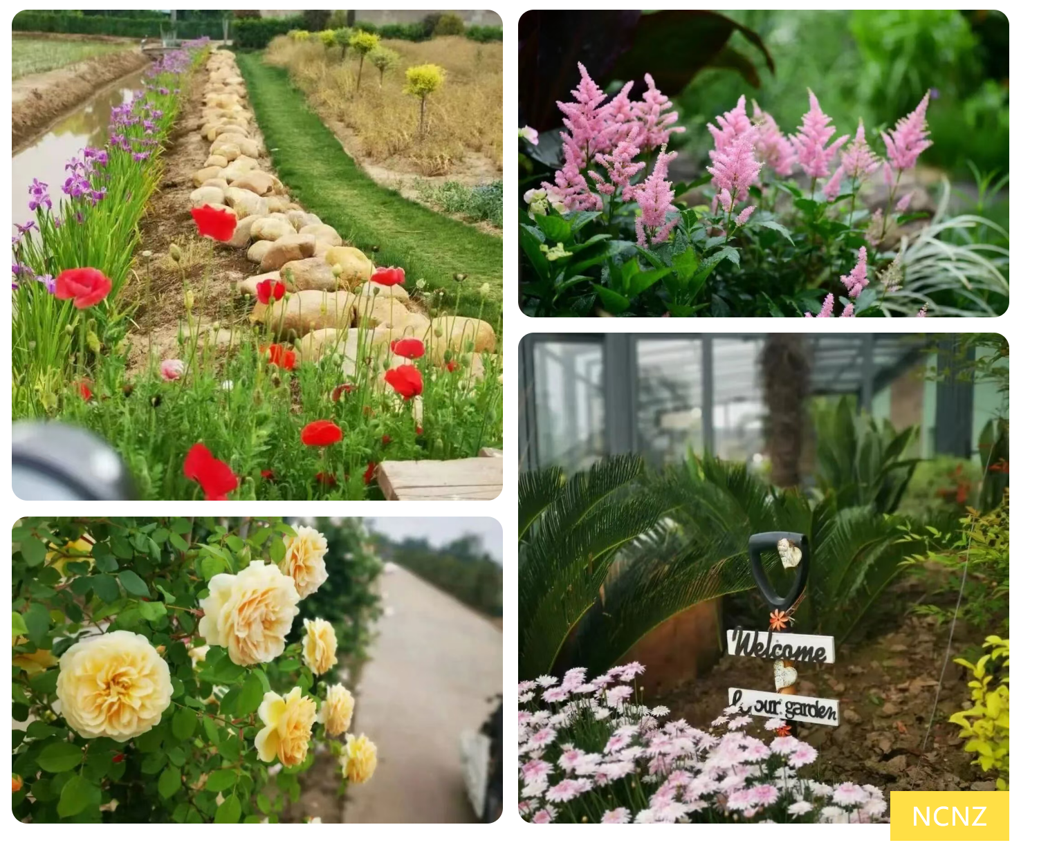 cb8d680700d4be8559ac0f4ab88664e9