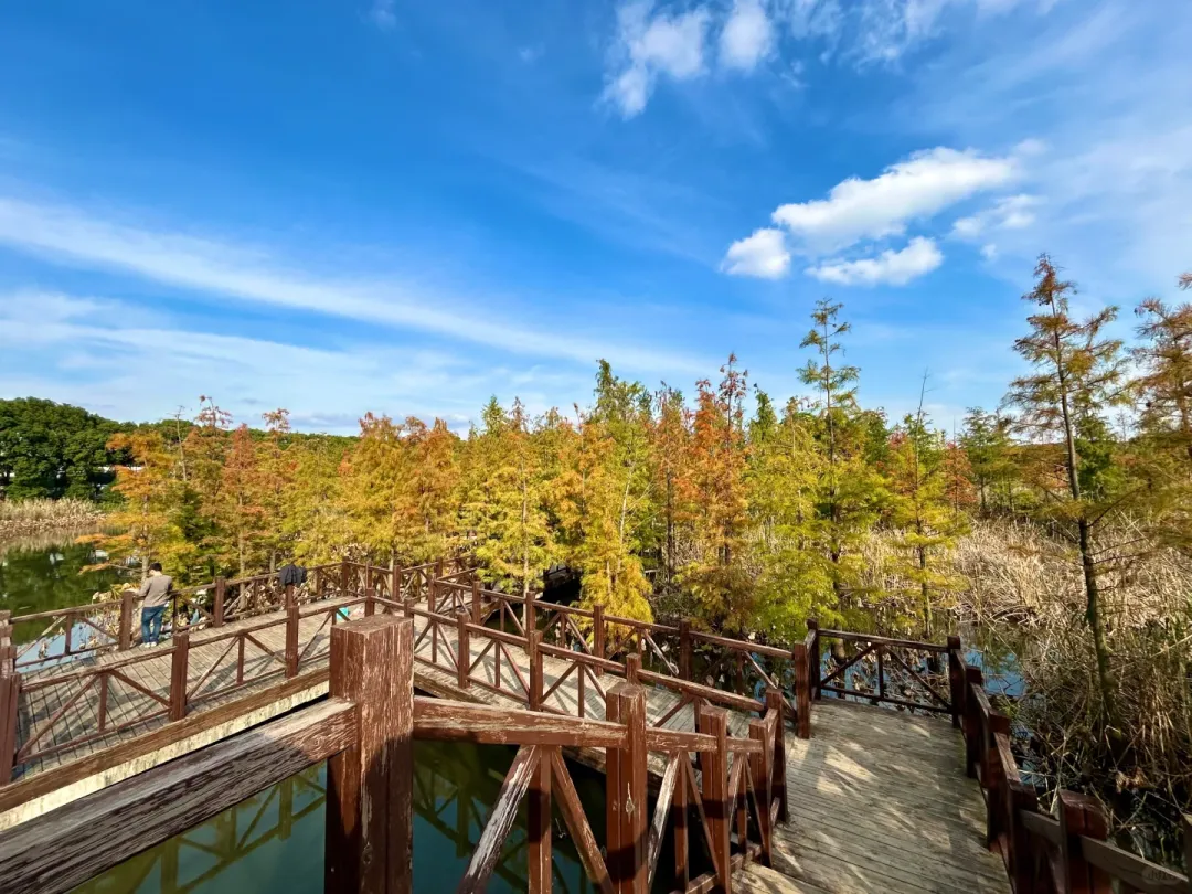 cbaa087c6d4ea0585a5e878ca121752e-sz_2653684