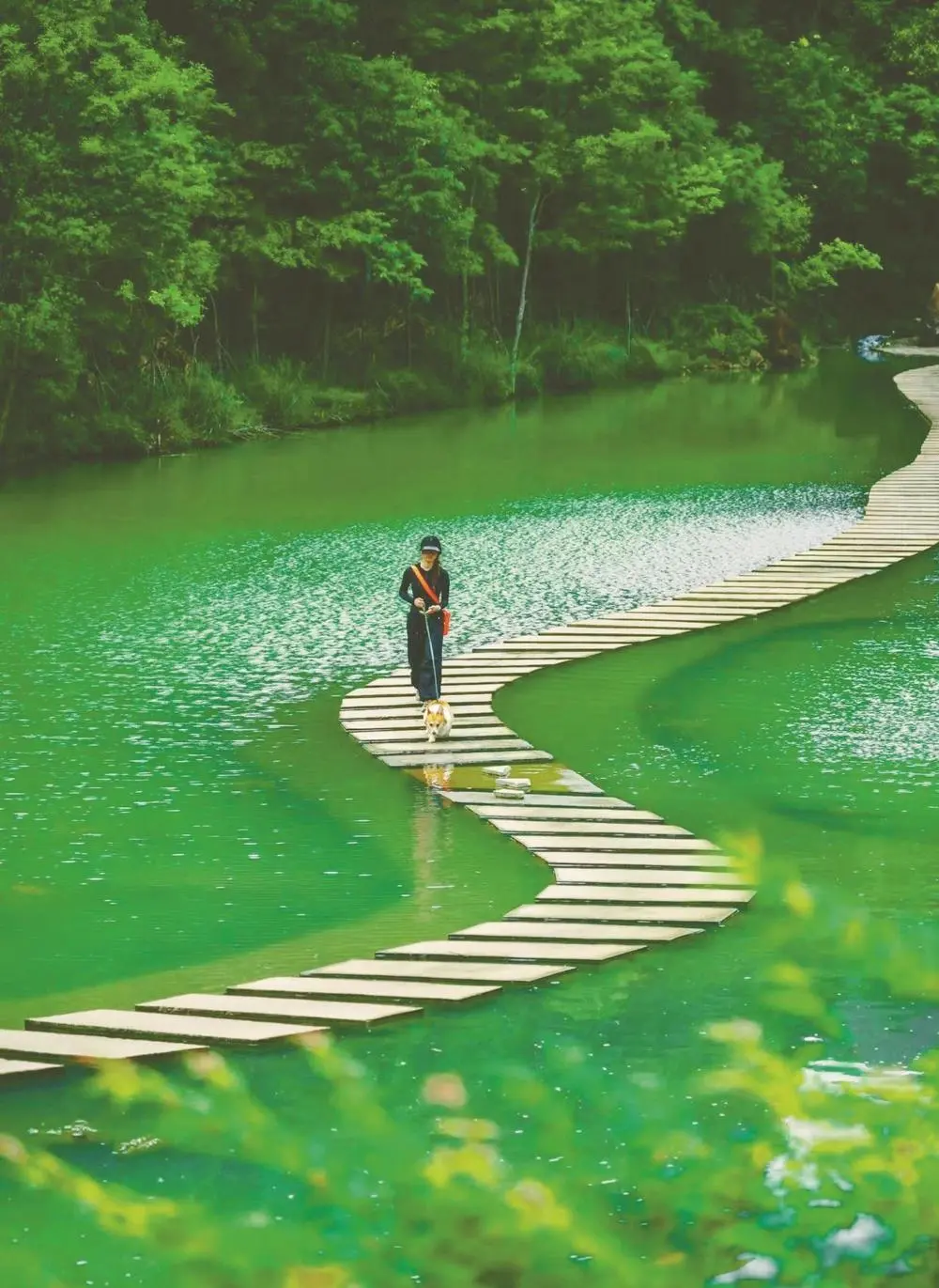 cbb50ad746b7b32037c69cf4f8d6dcac-sz_184382