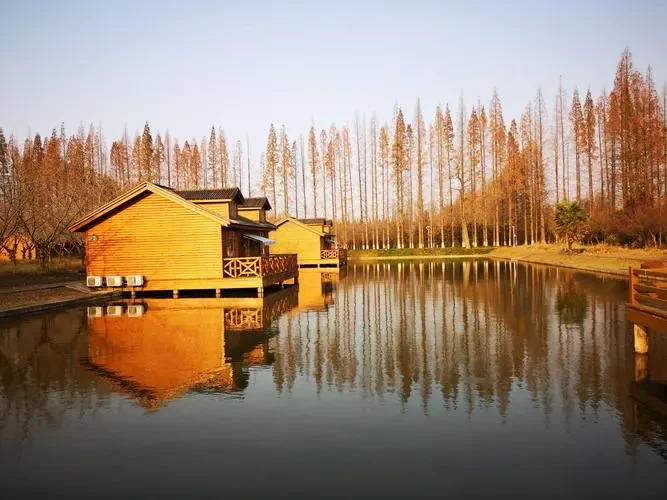 cc11047c92ea5a87771b620776e6fa44-sz_56578