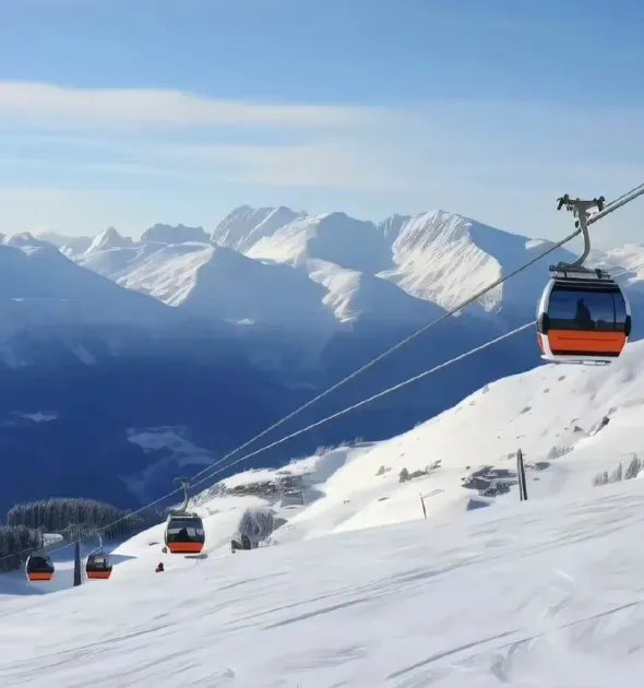 cc582766d67e2becfe0008efbef33e6d-sz_513105