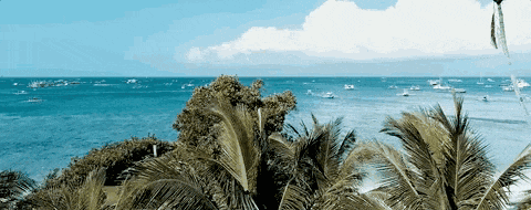 cca451f96a6c65ea1388a9323e09c15f-sz_863795 cca451f96a6c65ea1388a9323e09c15f-sz_863795