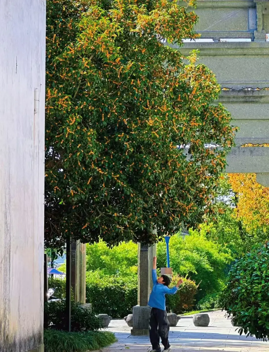 ccd2b57010b2da9cd0d7666af0cd7d56-sz_546300