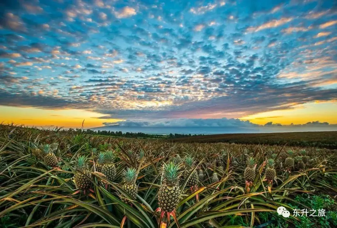 ccf13c0bb8a61a97c12cef82568b1bab-sz_174607 ccf13c0bb8a61a97c12cef82568b1bab-sz_174607