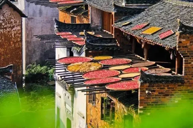 cd11051960b4f0746b25ad1d10f0f02d-sz_62859 cd11051960b4f0746b25ad1d10f0f02d-sz_62859