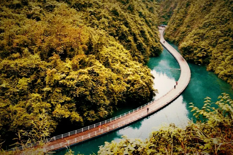 cd1381a16c6ff5d4c7fb0d4c1e65c683-sz_259228