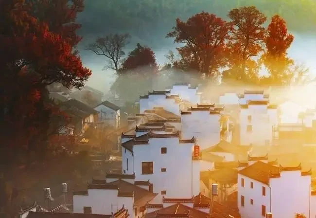 cd28f00894862472bc02c9fbec1e8b51-sz_36771