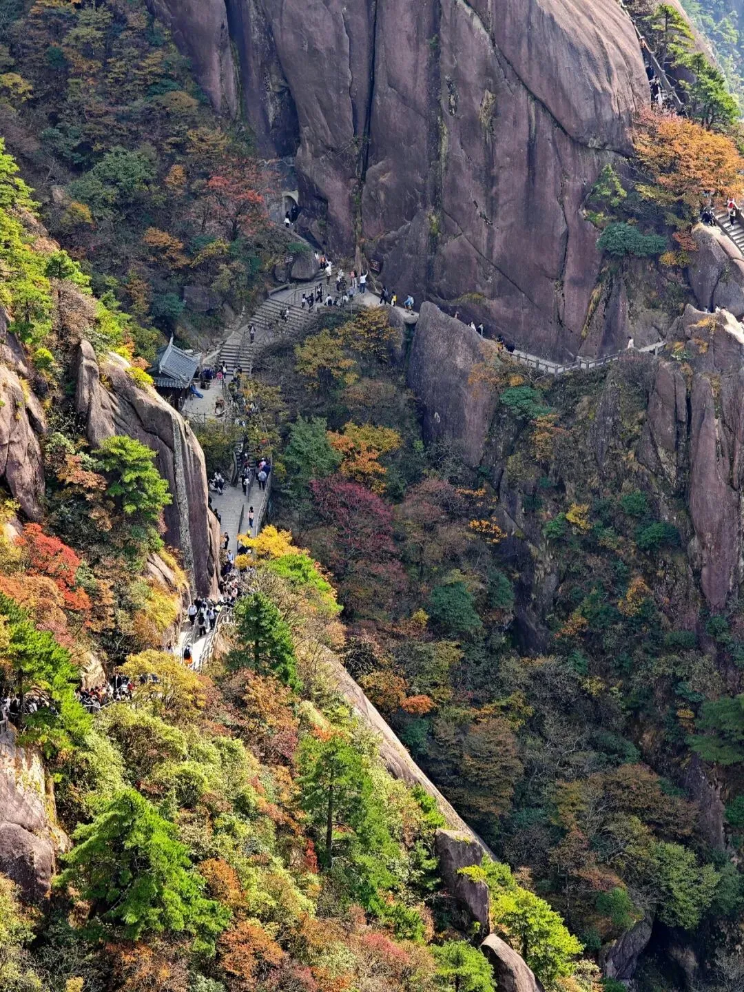 cd997997998a97fb171642f074021e00-sz_511357