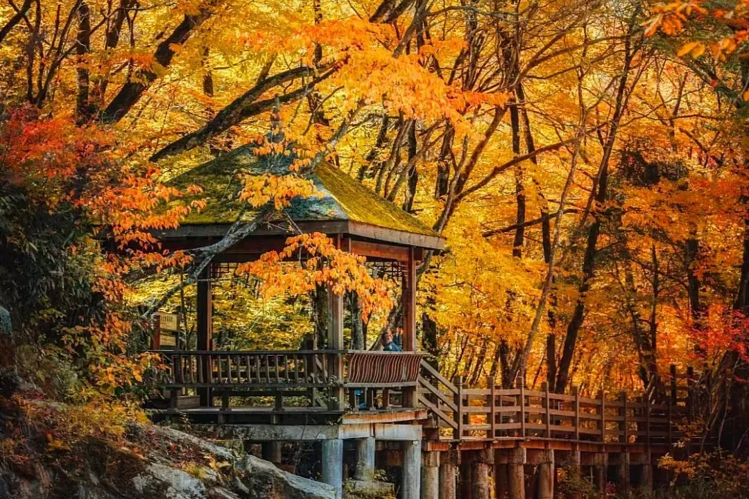 cdb232e3ab14b5a08f0ef17ec75d2abd-sz_4547757