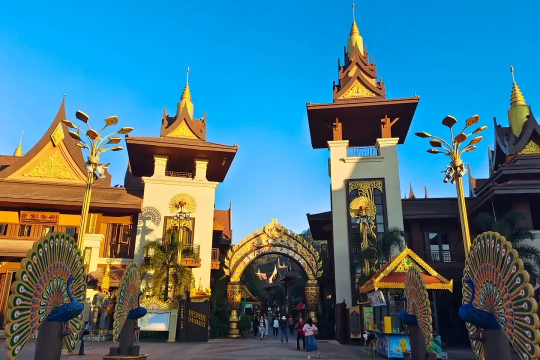 cdbd1be8798af19b1111766a6030e99c-sz_2264267-1