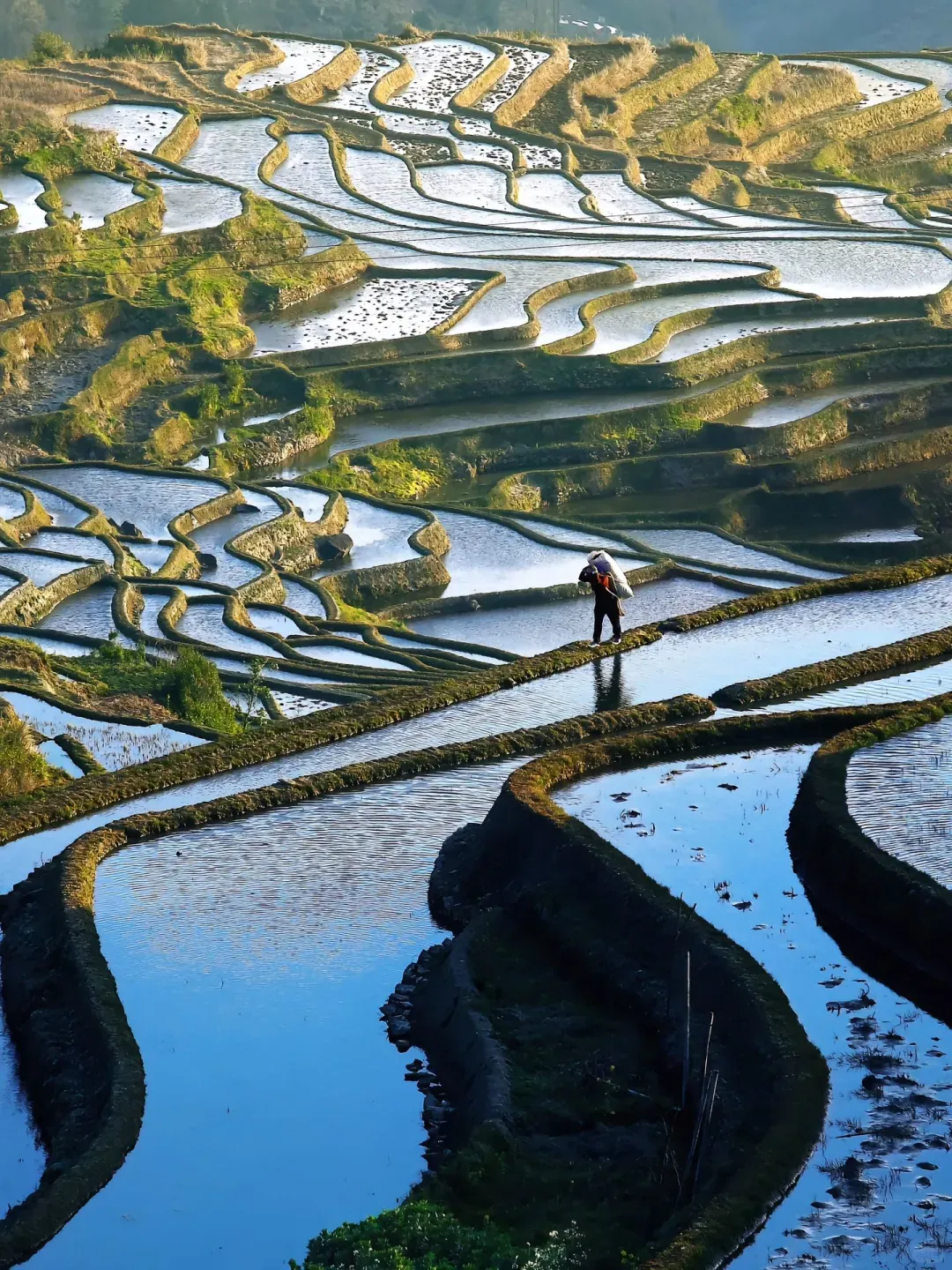 cdd77845a00874ad5caa0761221c61ec-sz_3376585