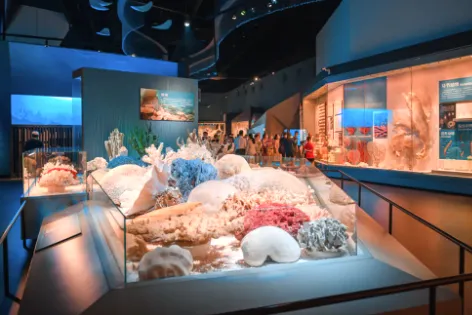 cdda94e8b9125faa162335bd55d6e471-sz_434806-1