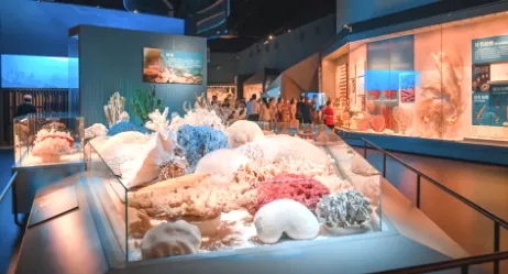 cdda94e8b9125faa162335bd55d6e471-sz_434806