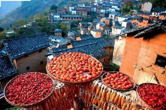 cdec366e0755df34a2e52bf87c777b51-sz_60516 cdec366e0755df34a2e52bf87c777b51-sz_60516