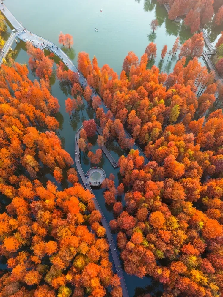 cdf232e6dcd0dd91917ef03f86106c8d-sz_3890692