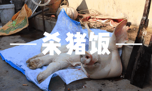 【云梯畲族杀猪宴3日游】现场杀猪+篝火晚会+餐饮升级+华东大裂谷+畲族风情园、免费棋牌、唱歌