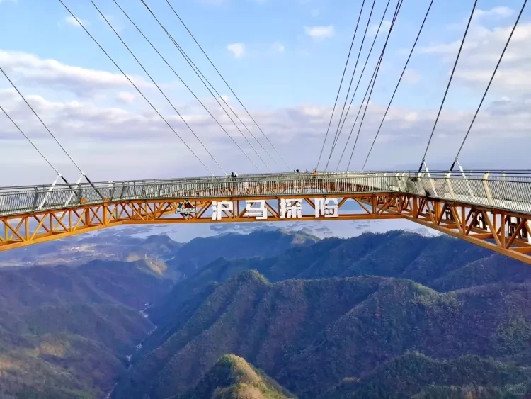 ce23a2d8e69b1d5f652c3c12eae62d44-sz_2432421