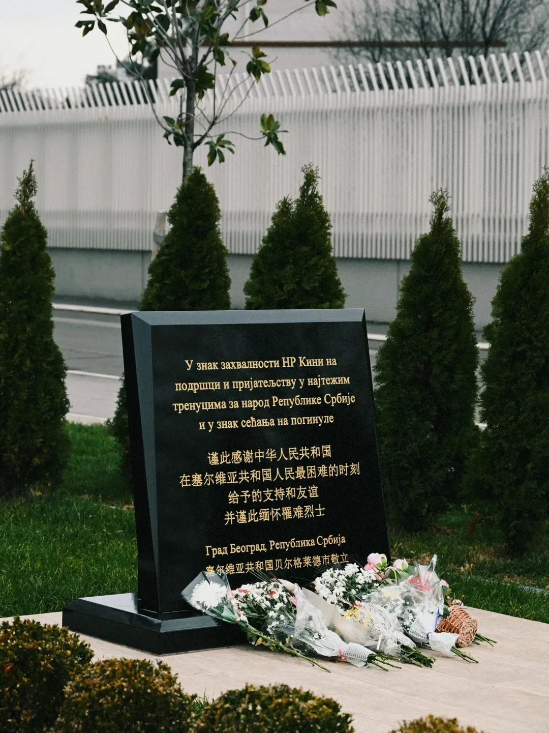 ce53d966f3d45aa67ffcfc381e4dd149-sz_536620