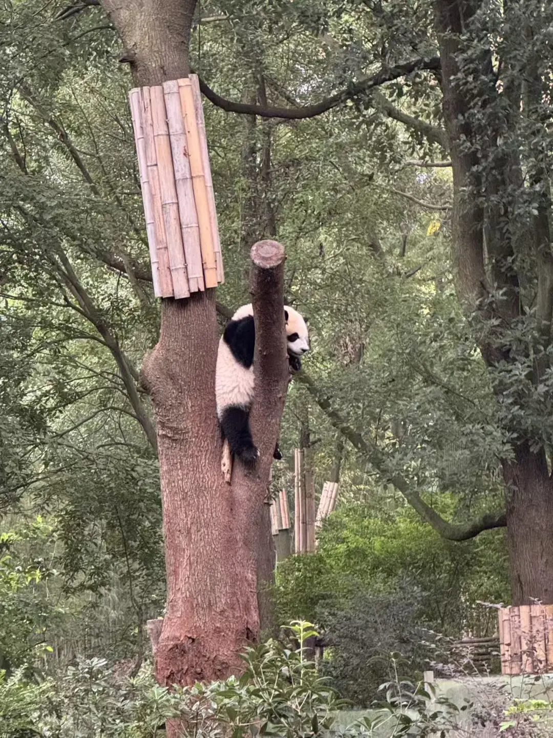 ce54ee86ab7c7afbdfb41b57f475ea6c-sz_507418 ce54ee86ab7c7afbdfb41b57f475ea6c-sz_507418