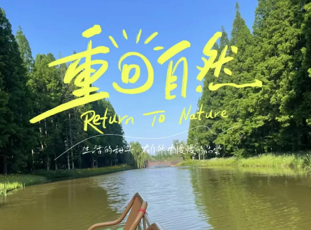 ce8685d0031bd7a852c82a9e15324636-sz_784978 ce8685d0031bd7a852c82a9e15324636-sz_784978