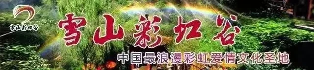 ce8f2cfbcb68297f5a04ea946b7e54e7-sz_30005