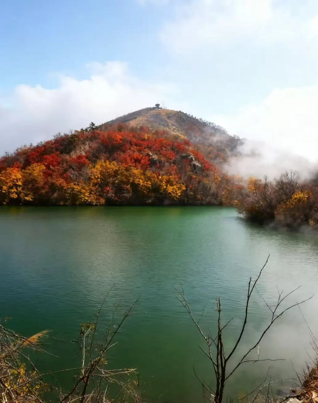 ce93a19a4db8c1ba07aad64cee28a527-sz_223749