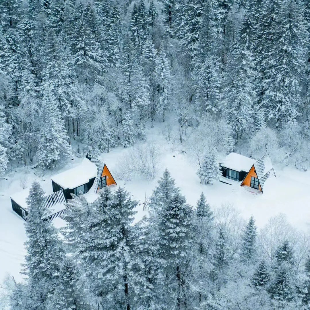 ce96f01b378f010525653adfacdd4ddb-sz_910295